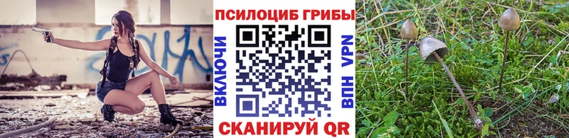 Псилоцибиновые грибы прущие грибы Мончегорск
